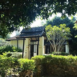 Twin Room Garden View